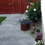 Budai Vám Pécs
