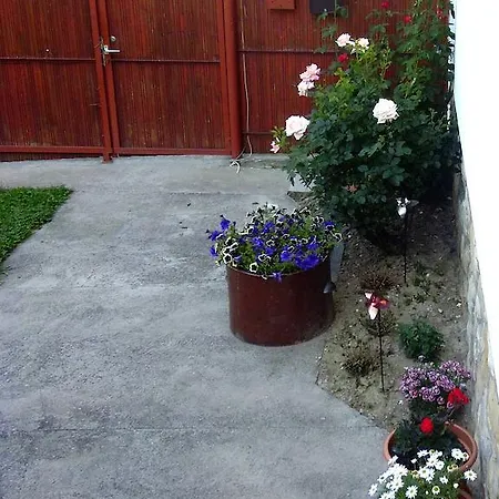 Budai Vám Pécs
